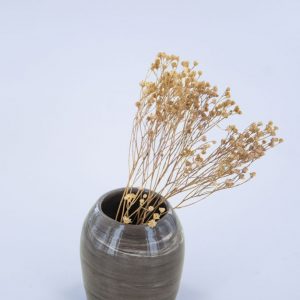 Mini pot terre mêlée