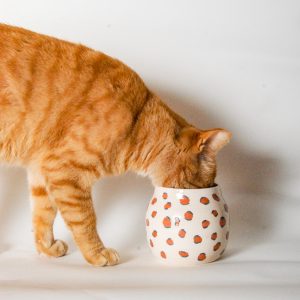 Vase léopard GRAOU en faïence